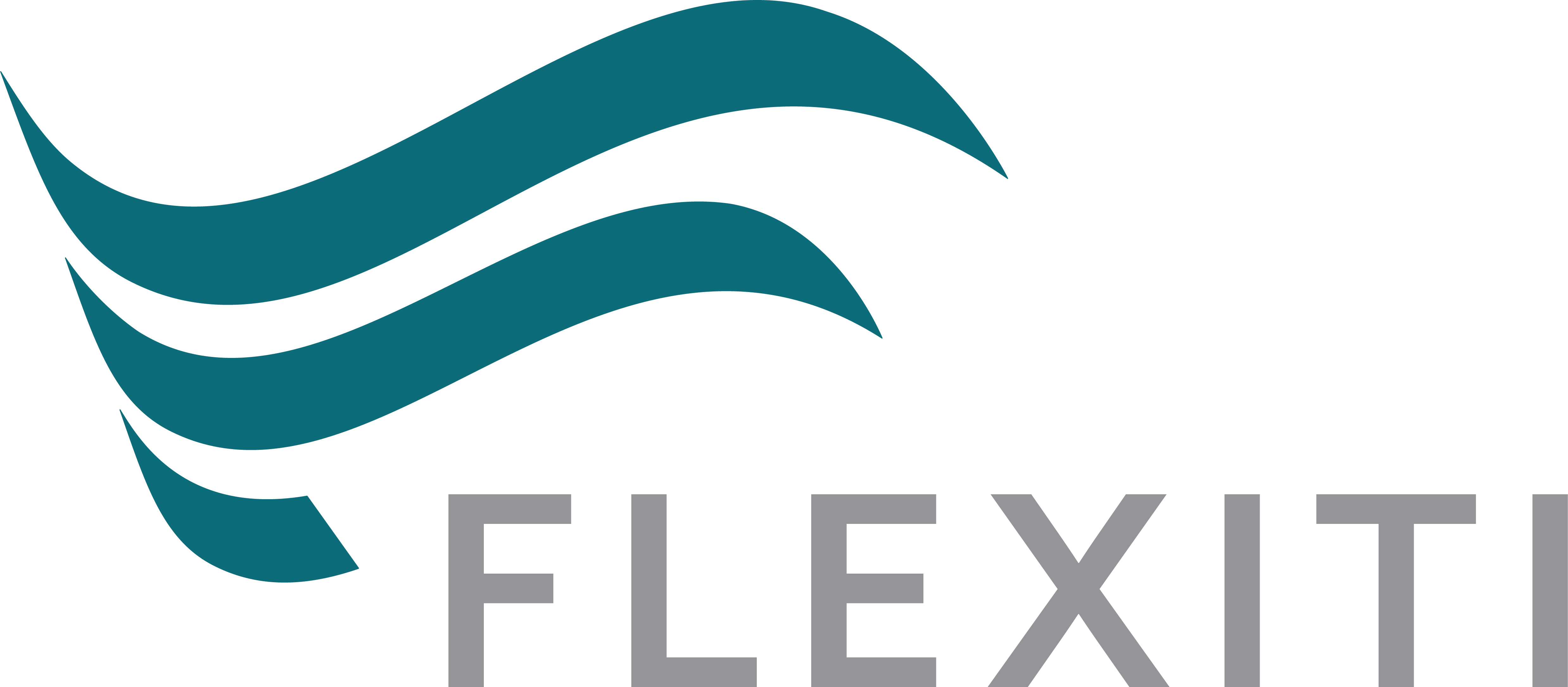 Flexiti Logo